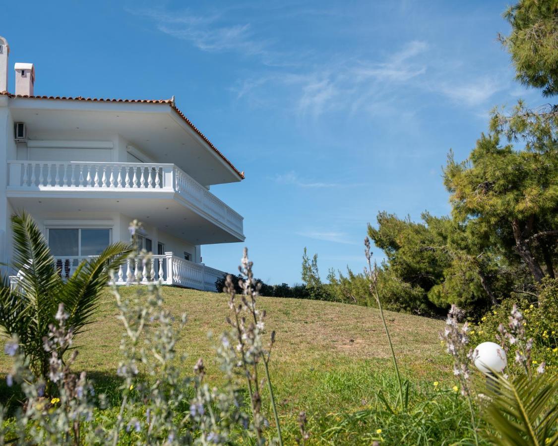 Sounio Golden View Villas Kap Kap Sounion Exterior foto